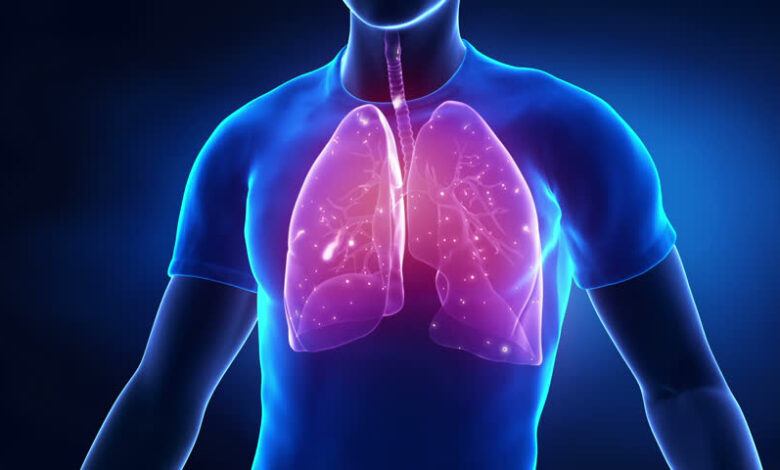 25 Surprising Facts About Your Lungs