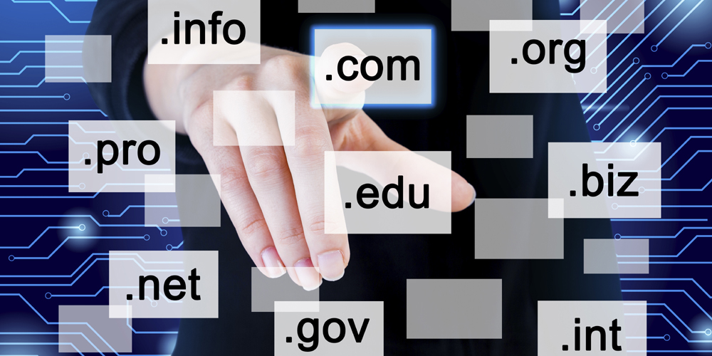 Domain name registration used to be free